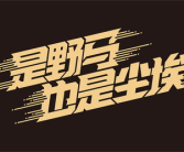 网红文字,揭秘网络红人的影响力