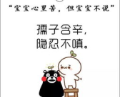 网红语录,网络红人的智慧火花