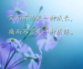 表达人生感悟的精辟句子,感悟人生真谛