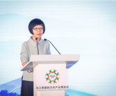 网刘红,网络时代的崛起与影响力
