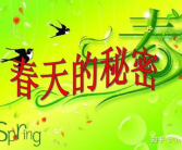 关于春天的好词好句,好词好句描绘春天的美好